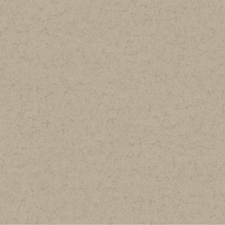 Dutch Wallcoverings Textured Plains uni platinum - TP1505