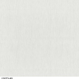 Dutch Wallcoverings Vliesbehang uni lichtgrijs - 13073-80