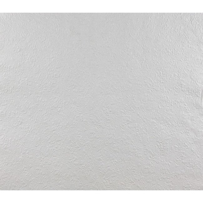 Dutch Wallcoverings Behang uni wit - papierbehang - 10m x 53cm - 2260