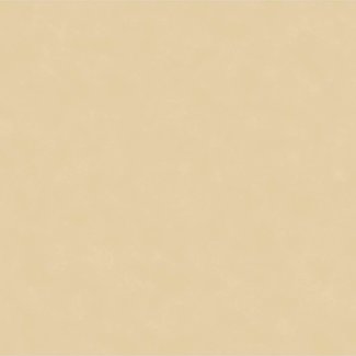 Dutch Wallcoverings Papierbehang - Freestyle uni beige - 8699-GV