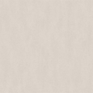 Dutch Wallcoverings Couleurs uni beige - F793-07