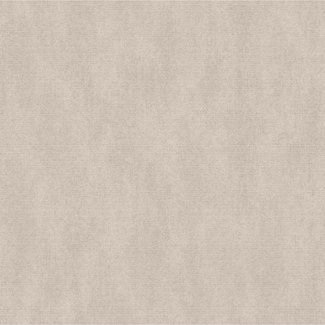 Dutch Wallcoverings Couleurs uni beige - F793-28