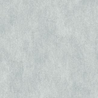 Dutch Wallcoverings Vliesbehang - Couleurs uni grijs - L785-19