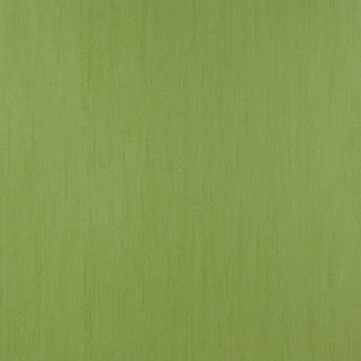 Dutch Wallcoverings Behang groen - 621-3
