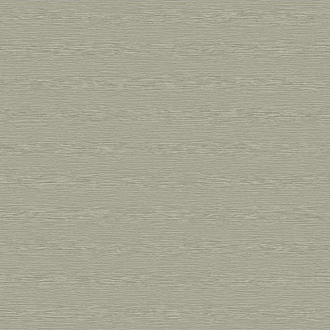 Dutch Wallcoverings Beaux arts 2 pewter texture - vliesbehang - 10m x 53cm - BA220074