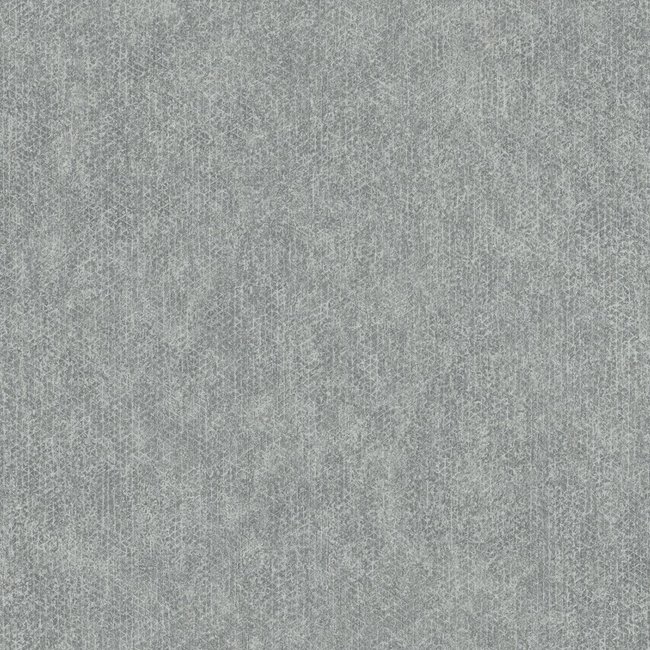 Dutch Wallcoverings Couleurs/Galactik uni grijs - vliesbehang - 10m x 53cm - L753-29