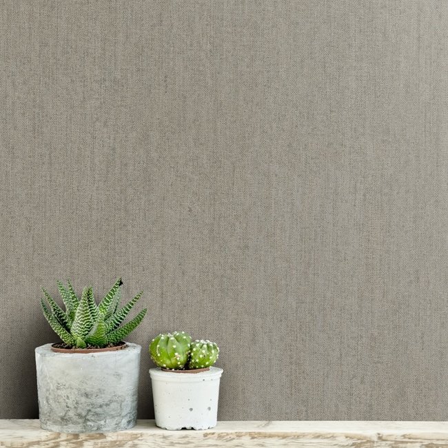 Dutch Wallcoverings Passion uni grijs/bruin - vliesbehang - 10m x 53cm - 37028