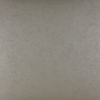 Dutch Wallcoverings Vliesbehang - Premium uni zilver - 58480