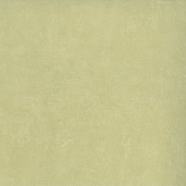 Dutch Wallcoverings Inspiration 2 uni groen - vliesbehang - 10m x 53cm - 372-12