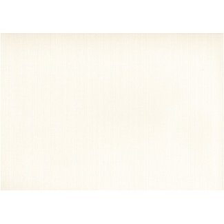 Dutch Wallcoverings Schuimvinyl uni wit - 30250