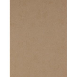 Dutch Wallcoverings Premium uni beige - 91003