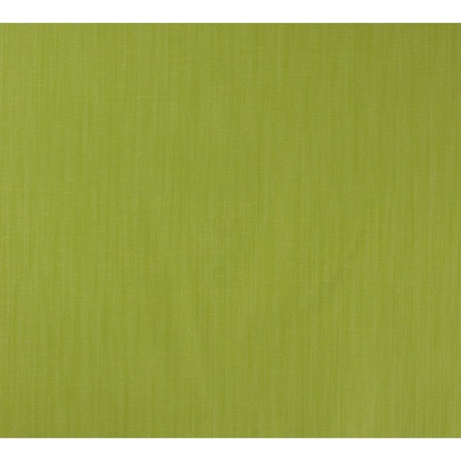 Dutch Wallcoverings Vliesbehang uni groen - vliesbehang - 10m x 53cm - 208064