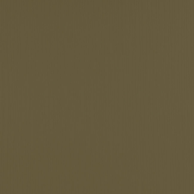 Dutch Wallcoverings Vlies First Affair uni bruin - vliesbehang - 10m x 53cm - 05182-20