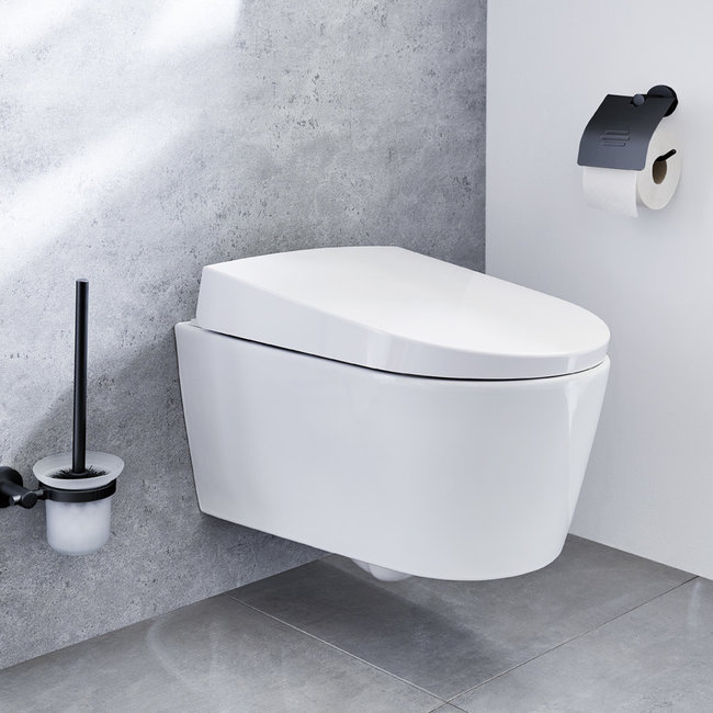 Kleine Wolke Toiletborstel v. muur Apollo Nero Milky