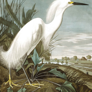 KEK panel Snowy Heron