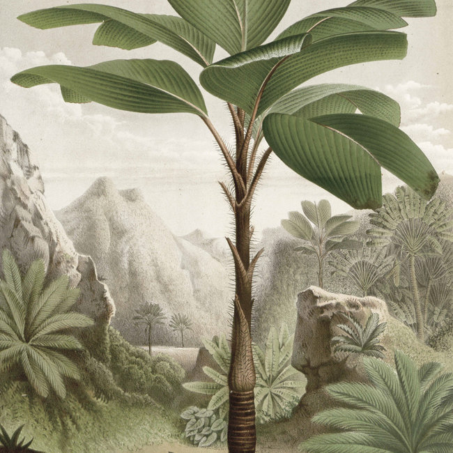 KEK panel Banana Tree - 142,5x180cm - PA-010