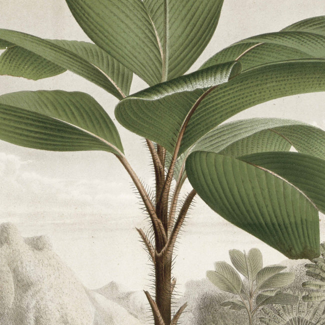 KEK panel Banana Tree - 142,5x180cm - PA-010