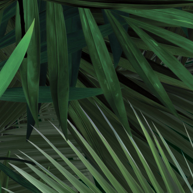 KEK Palm leaves 2d - 97,4x280cm - WP-501