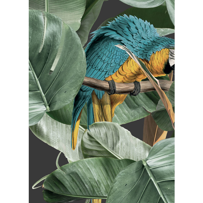 KEK Botanical Birds black 2d - 97,4x280cm - WP-579