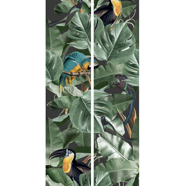KEK Botanical Birds black 2d - 97,4x280cm - WP-579