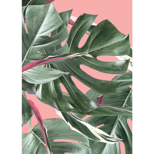 KEK Botanical leaves pink 2d - 97,4x280cm - WP-581