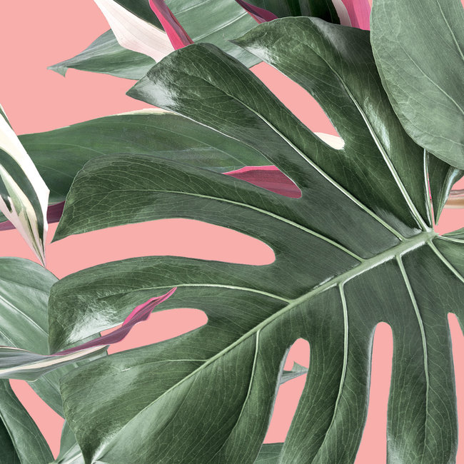 KEK Botanical leaves pink 2d - 97,4x280cm - WP-581