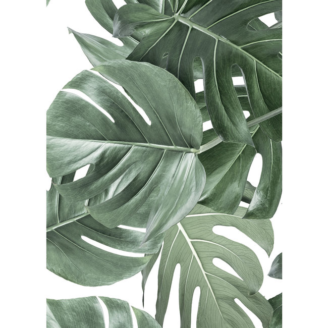 KEK Monstera white 2d - 97,4x280cm - WP-584