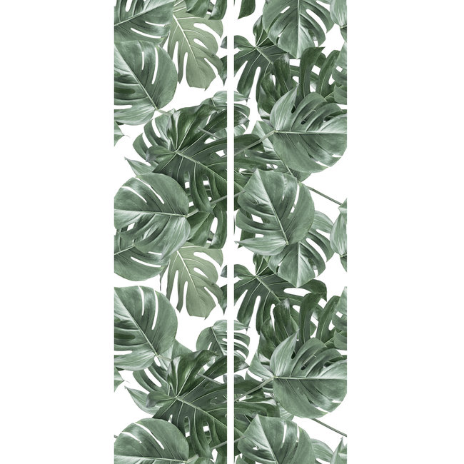 KEK Monstera white 2d - 97,4x280cm - WP-584