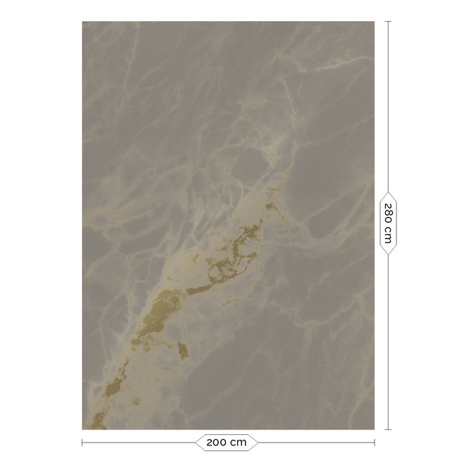 KEK Amsterdam Wallmural Gold Marble grey - div.afm.