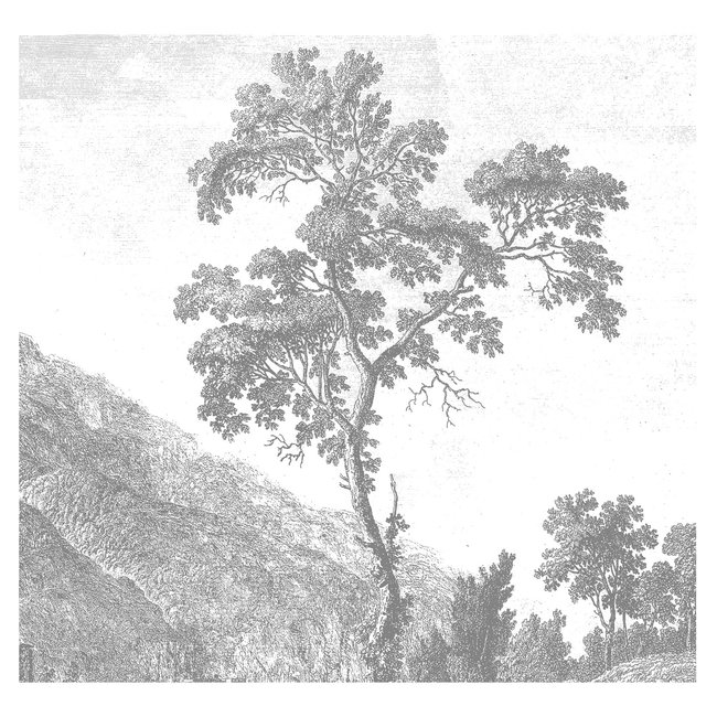 KEK Amsterdam Wallmural Engraved Landscape I - div.afm.