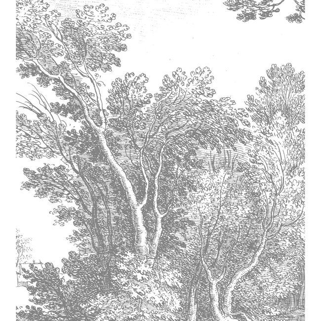 KEK Amsterdam Wallmural Engraved Landscape V - div.afm.