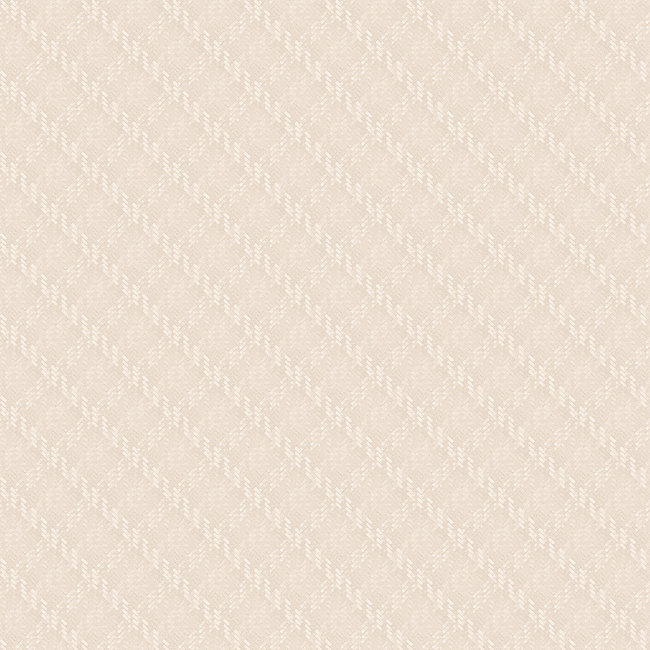 Dutch Wallcoverings Wall Fabric chevron beige - vliesbehang - 10mx53cm - WF121042