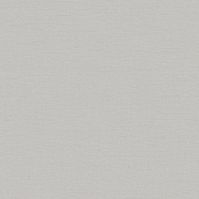 Dutch Wallcoverings Wall Fabric linen silver - vliesbehang - 10mx53cm - WF121052