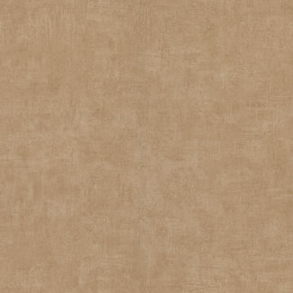 Dutch Wallcoverings Dutch Wallcoverings - Asperia- Annabel uni lichtbruin - A51520