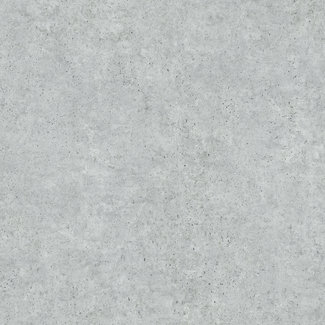 Dutch Wallcoverings Dutch Wallcoverings - Couleurs II betonlook grijs - L693-29