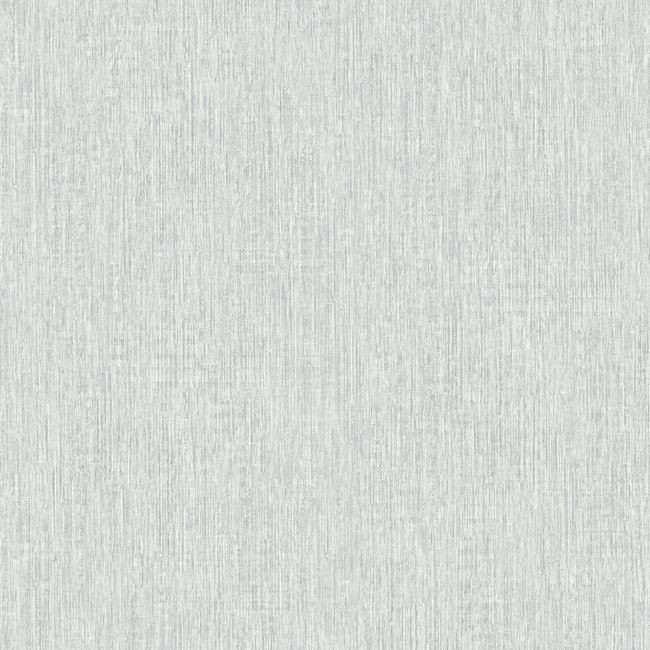 Dutch Wallcoverings Duch Wallcoverings - Couleurs II uni grijs - vliesbehang - 10m x 53cm - J947-09