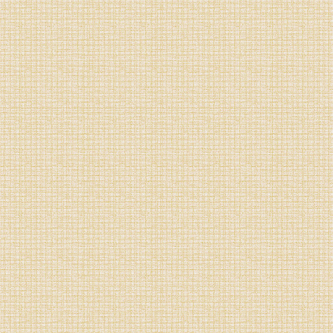 Dutch Wallcoverings Duch Wallcoverings - Grace Basket weave plain beige - vliesbehang - 10m x 53cm - GR322607