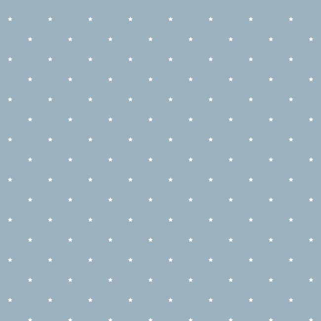Dutch Wallcoverings Duch Wallcoverings - Little Kids- Little Stars blwgrijs/wit - vliesbehang - 10m x 53cm - JR1104