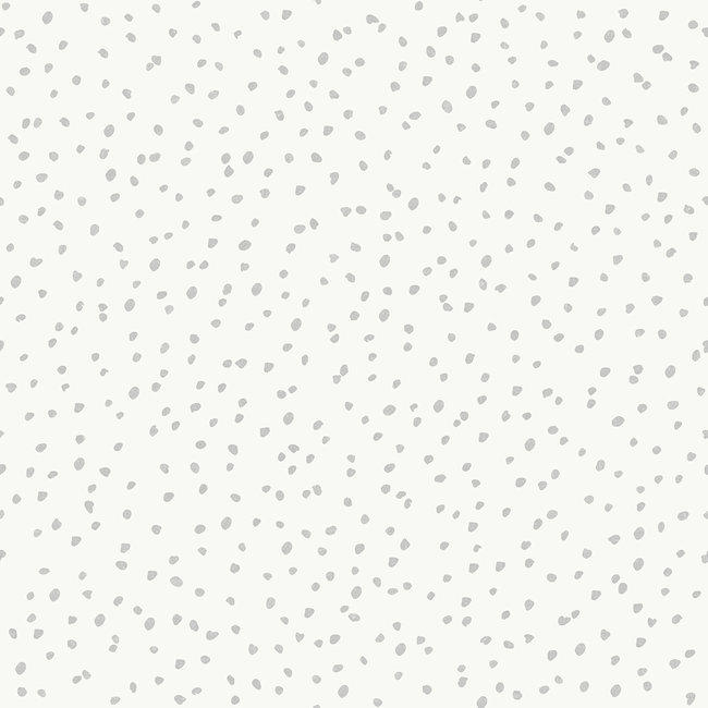 Dutch Wallcoverings Duch Wallcoverings - My Kingdom- Dots Small wit/grijs - vliesbehang - 10m x 53cm - L993-09
