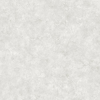 Dutch Wallcoverings Vliesbehang - Structures- uni grijs - M550-00