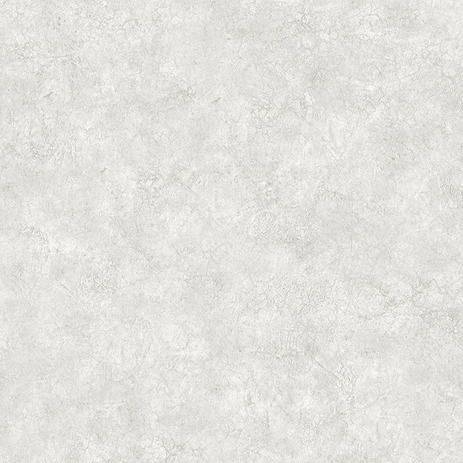 Dutch Wallcoverings Duch Wallcoverings - Structures- uni grijs - vliesbehang - 10m x 53cm - M550-00