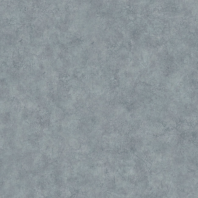 Dutch Wallcoverings Duch Wallcoverings - Structures- uni blauwgrijs - vliesbehang - 10m x 53cm - M550-01