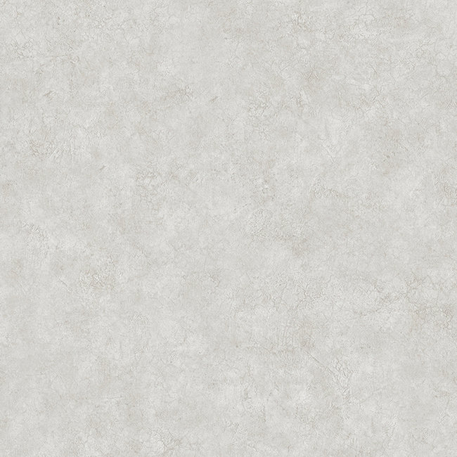 Dutch Wallcoverings Duch Wallcoverings - Structures- uni beige - vliesbehang - 10m x 53cm - M550-07
