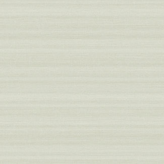 Dutch Wallcoverings FC Akira 70cmx9,14m uni gebr. wit - AK2302