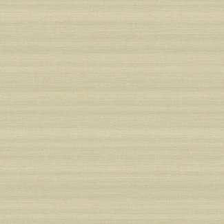 Dutch Wallcoverings FC Akira 70cmx9,14m uni beige - AK2303