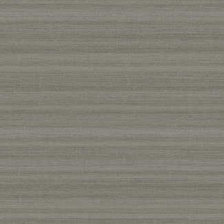 Dutch Wallcoverings FC Akira 70cmx9,14m uni grijs - AK2309