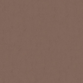 Dutch Wallcoverings Vliesbehang - FC Memento 70cm br. - 32033