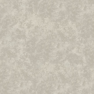 Dutch Wallcoverings Vliesbehang - FC Memento 70cm br. - 32041
