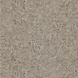 Dutch Wallcoverings FC Roberto Cavalli 6 70cm br. - 17061