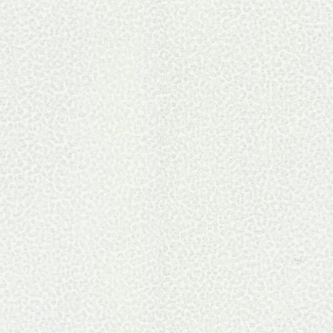 Dutch Wallcoverings Roberto Cavalli 8 - uni wit - vliesbehang - 10m x 1,06m - 19020